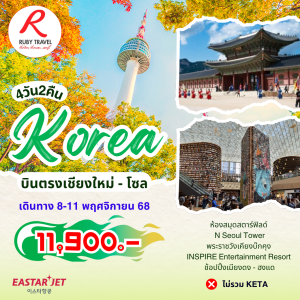เกาหลี โซล ใบไม้เปลี่ยนสี 4วัน2คืน