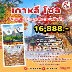 เกาหลี โซล ใบไม้เปลี่ยนสี 5วัน3คืน