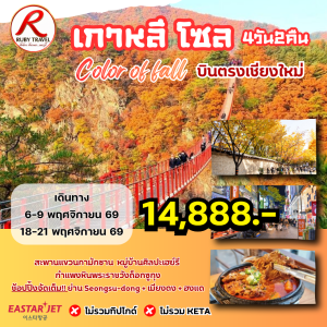 เกาหลี โซล Nov 4วัน2คืน