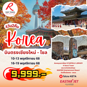 เกาหลี โซล ใบไม้เปลี่ยนสี 4วัน2คืน