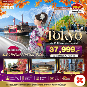 TOKYO ฮากุบะ คุรุยซาว่า 6วัน4คืน