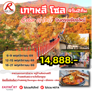 เกาหลี โซล Nov 4วัน2คืน